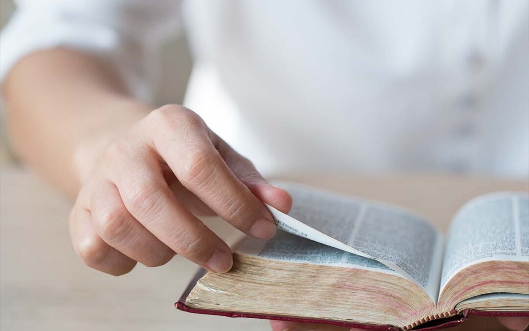 How do I Explain the Bible to a New Believer?