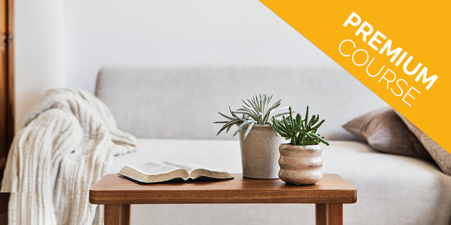 Plant on table with couch in background for apologetics and evangelism coures